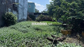 Chính chủ bán gấp đất thổ cư hẻm 2771 Huỳnh Tấn Phát, xã Nhà Bè