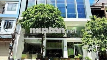 Cho thuê tòa nhà mặt tiền Trần Bình Trọng (10×24m), Quận 5
