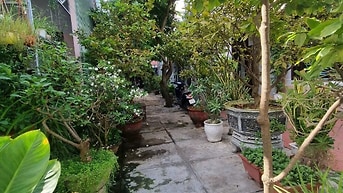 Land for sale, 97 m², Sơn Trà