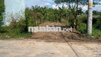 BÁN ĐẤT ĐẸP VUÔNG VỨC 100M2-MT SUỐI LỘI, TÂN PHÚ TRUNG,CỦ CHI-325TRIỆU