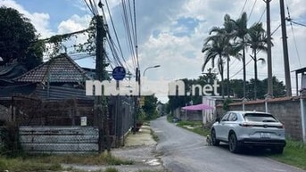 Chủ ngộp bán gấp đất 265m2 ngay X.Tân An Hôi, Củ Chi Giá 975 tr