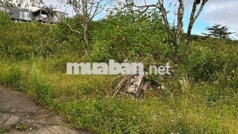 Đất đà lạt khu Manglin phường langbiang, P7 cũ, giá tốt.
