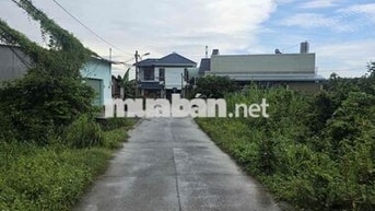 Chủ đất ngộp tiền cần bán gấp lô đất ở Tân An Hội  Củ Chi
