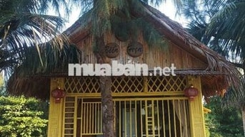 Nhà 35m2x4T ngõ 198 VĨNH HƯNG,ĐÔNG THIÊN 