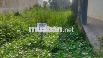 Bán gấp lô đất 125m2, vị trí đẹp ngay KCN Tân Đức