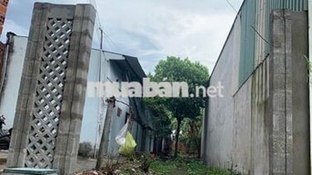  ĐẤT PHƯỚC VĨNH AN – GẦN KCN TÂY BẮC CỦ CHI | 144,8M² , SHR, GIÁ 650TR