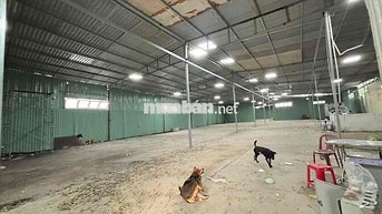 Kho Xưởng 1400m2 Ngay KCN Tân Bình - Đường Cont - Giá 110k/m2