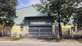 cần cho thuê kho xưởng P An Phú Đông DT 500m.giá 52 triệu