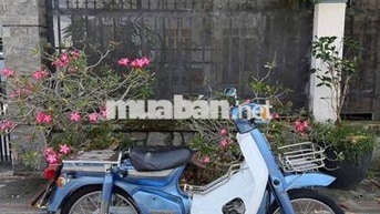 Honda Super Cub 90cc màu Xanh dương