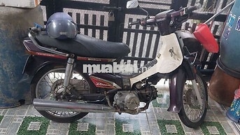 Honda Dream Thái màu Tím