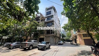 CHÍNH CHỦ - KĐT MỚI ĐẠI KIM- DT 65M2 - LÔ GÓC- PHÂN LÔ - ÔTÔ TRÁNH