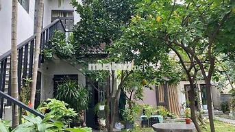 Cho thuê căn hộ 2PN kiểu nhà vườn Nguyễn Công Trứ, vị trí gần biển 