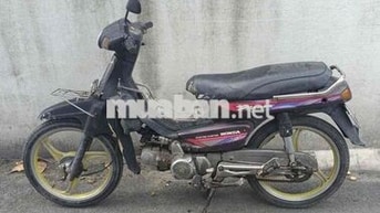 honda dream lùn