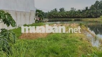 Ngộp! Cần bán nhanh lô đất 182m2 thổ cư. Giá 750Tr. Ấp 7 xã Mỹ Yên