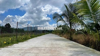 Hơn 1.000m² đất – 200m² thổ cư P. Xuân Lộc, TP. Đồng Nai
