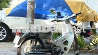 Honda Cup 81-86 50cc màu Ghi