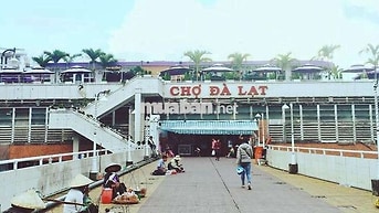 Căn hộ 8 triệu cách chợ Đà Lạt chỉ 300m Phạm Ngũ Lão