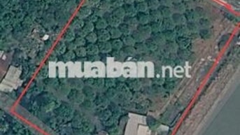 🔥 CƠ HỘI SỞ HỮU ĐẤT VƯỜN DU LỊCH CỒN SƠN – HAI MẶT GIÁP SÔNG RẠCH! 🌿
