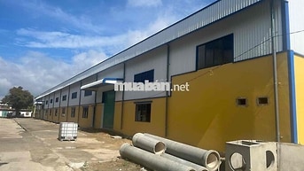 CHO THUÊ KHO 1800m2- 2300m2  QUẬN 12 – TP.HCM PCCC tự động