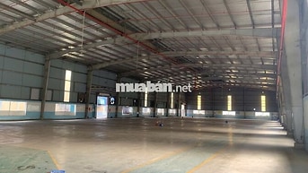 Cho thuê kho xưởng KCN Thuận Đạo  9.350m², điện 1.300KVA,  3.3 USD/m²