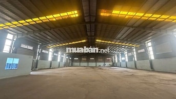 Cho thuê kho xưởng Bến Lức Long An 3.200m², khuôn viên 8.000m²