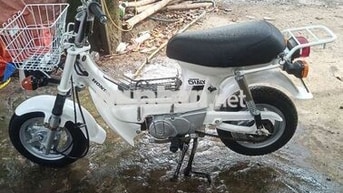HONDA CHALY 1984 MÀU TRẮNG