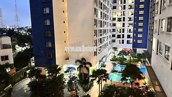Bán căn hộ 1PN chung cư Cskyview Thủ Dầu Một,  đang có thu nhập 