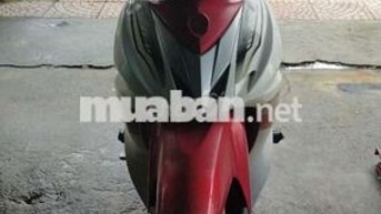 elegant 50cc