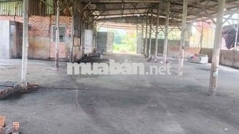 cho thuê kho xưởng lớn điện 3 pha có nhà ở sạch sẽ đường xe tải giá rẻ