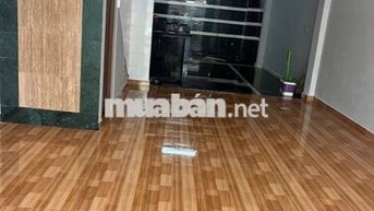 (17 triệu) Cho thuê nhà mới MTKD đường số 5 BHH DT 5x20m 1 trệt 1 lầu 