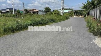 149m2 Thổ 5*30 MẶT Tiền Nhựa NGUYỄN VĂN DƯ 599 Triệu. Ngay Chợ -Trường