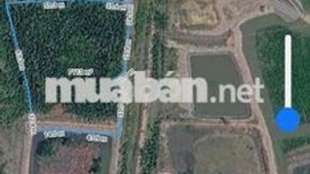 cần bán lô đất dt 7072m2 ở xã An Thới đông, cần giờ, tphcm giá 5,2 tỷ