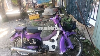 HONDA XE MÁY TÍM TRẮNG