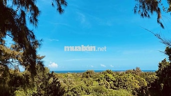 bán đất mặt tiền Nguyễn Tri Phương, view biển đảo Phú Quý xinh đẹp!