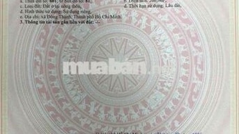 ĐẤT THỔ CƯ MẶT TIỀN NHỊ BÌNH 8 ĐÔNG THẠNH