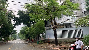 Bán nhà riêng, 7 PN, 160 m², Quận 8