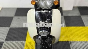 Nioshima Crea Giorno 50cc đẹp, máy êm thì thầm