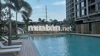 CHO THUÊ CĂN HỘ LUMI HÀ NỘI