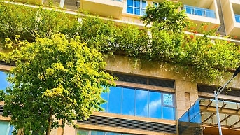 Bán shophouse Hoàng Thế Thiện KĐT Sala, 3 tầng, giá 55 tỷ, HĐT 70tr/th
