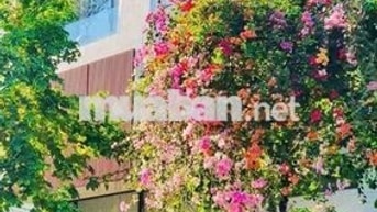 Cho Thuê Nhà Phố KDC Phú Mỹ Vạn Phát Hưng,MT đường số 2 Quận 7