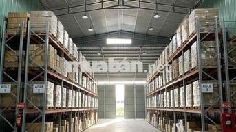 cho thuê kho sạch đẹp trần cao
