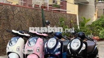 Honda Scoopy 2021 đến 2026
