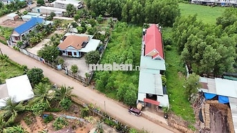Bán đất 1435m2 mặt tiền đường Khu A Tân Lâm, Xã Đồi 61