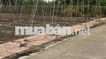 🔥 Cần bán gấp lô đất 134.9m², Xuân Đông, Cẩm Mỹ, Đồng Nai