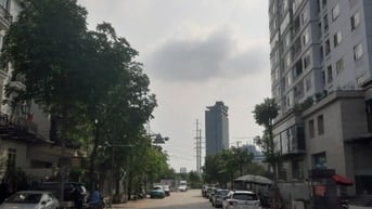 Cho thuê khối đế chung cư ngõ 28 Xuân La