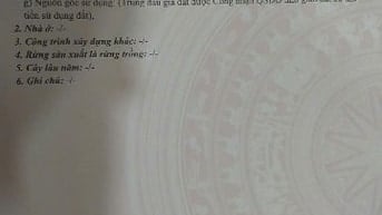 Bán Đất Thổ Cư ấp Đông Trung, Xã Tân Chánh, Cần Đước, Cách HL 24 50m