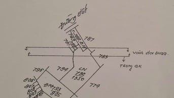 Sang 2000m2, mặt tiền đường vành đai Đại học Quốc gia TPHCM, chính chủ