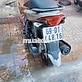 Yamaha Nouvo LX Nâu Zin